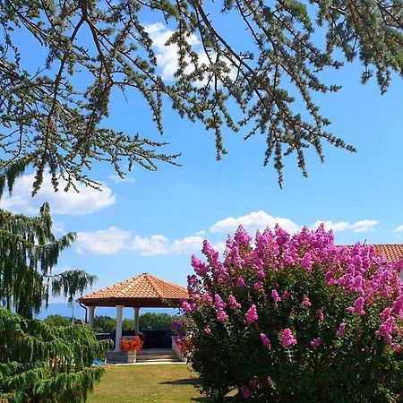 Holiday Apartment Villa Bianca パジン エクステリア 写真