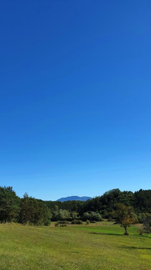 Holiday Apartment Villa Bianca パジン エクステリア 写真