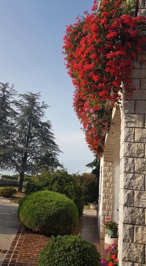 Holiday Apartment Villa Bianca パジン エクステリア 写真